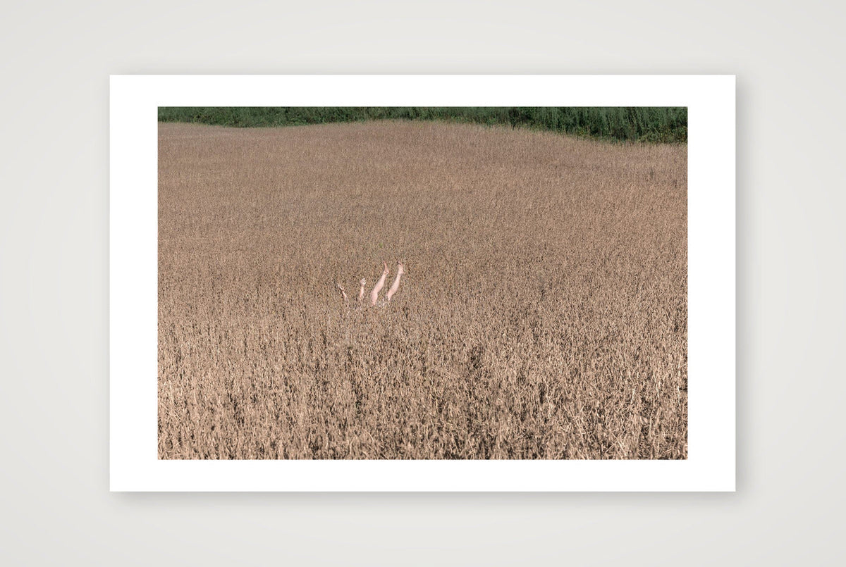 Could Be Worse, 2018 — 60×40cm, 24×16" Print only