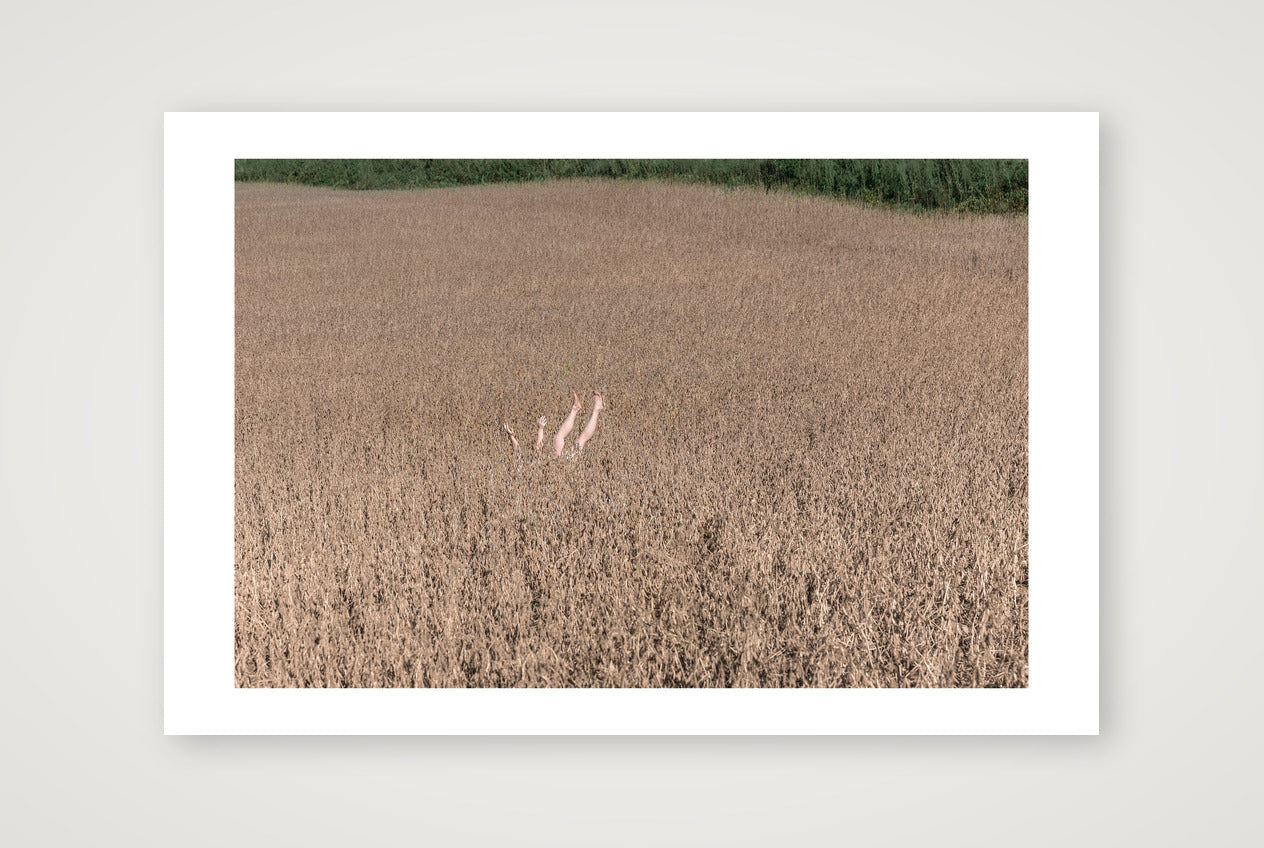 Could Be Worse, 2018 — 45×30cm, 18×12" Print only