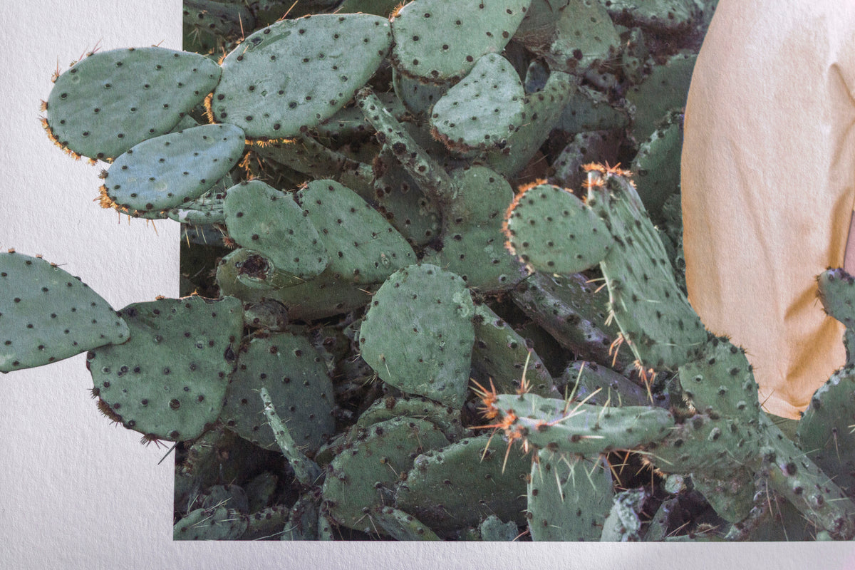 Cactus Print (Overgrown Edition)
